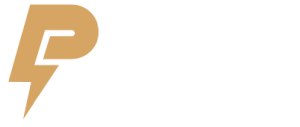 Logo design for Panchal Solutions featuring modern typography and a sleek, professional aesthetic